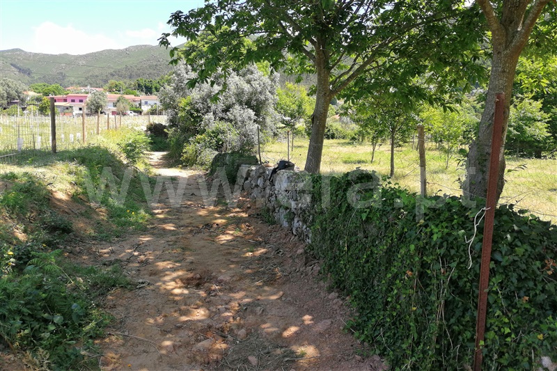 Terreno  Ponte de Lima, Moreira do Lima - 1273098 - 9