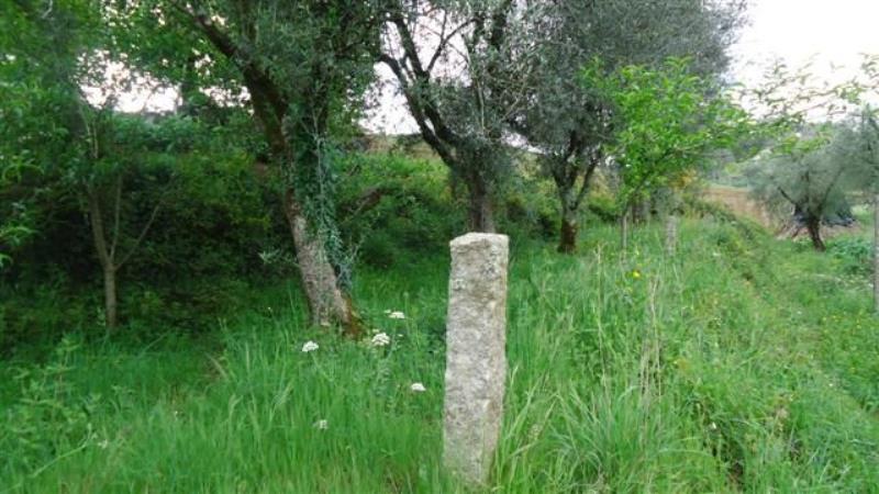 Terreno  Ponte de Lima, Rebordões Santa Maria - 461832 - 4