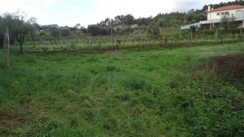 Terreno / Ponte de Lima, Rebordões Santa Maria