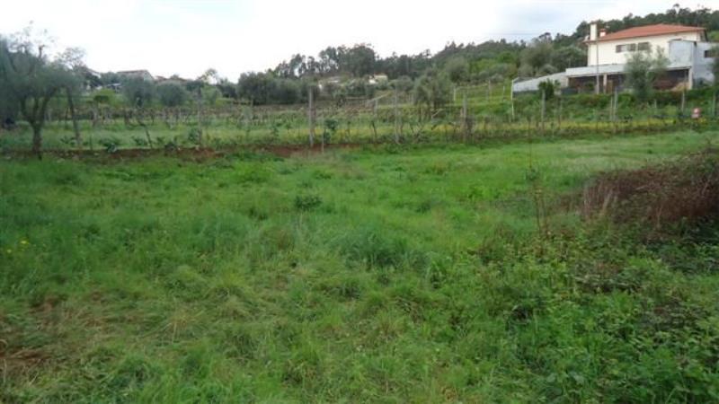 Terreno  Ponte de Lima, Rebordões Santa Maria - 461832 - 6