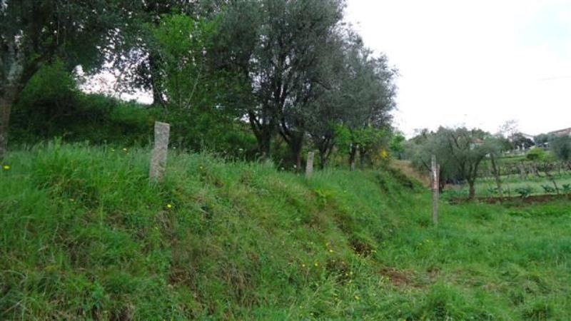 Terreno  Ponte de Lima, Rebordões Santa Maria - 461832 - 9