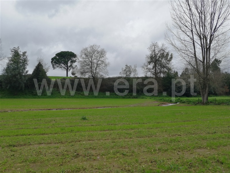 Terreno / Ponte de Lima, Rebordões Santa Maria