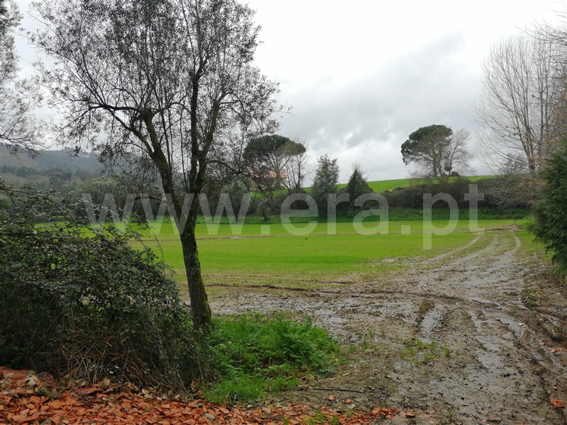 Terreno  Ponte de Lima, Rebordões Santa Maria - 760655 - 3