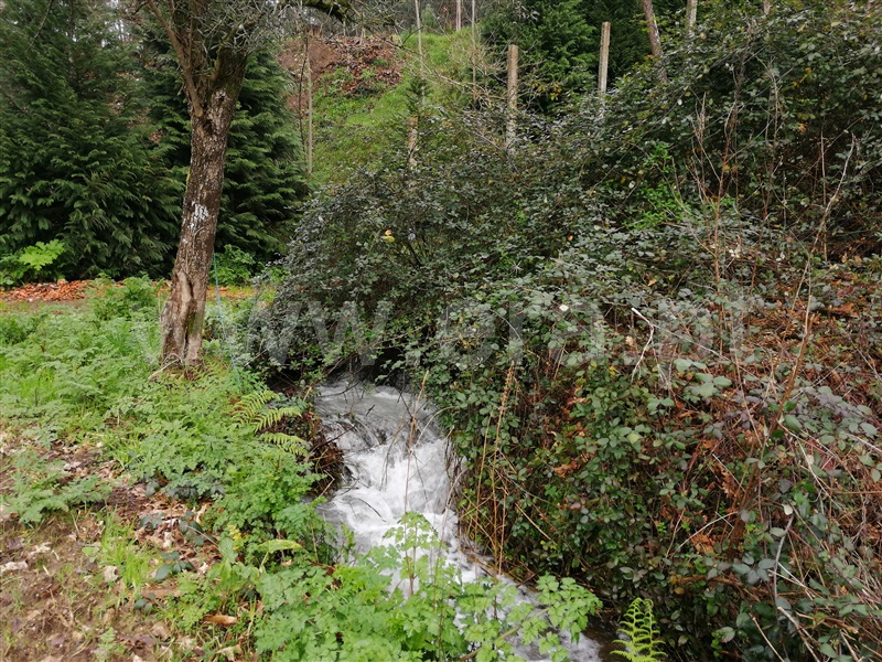 Terreno  Ponte de Lima, Rebordões Santa Maria - 760655 - 4