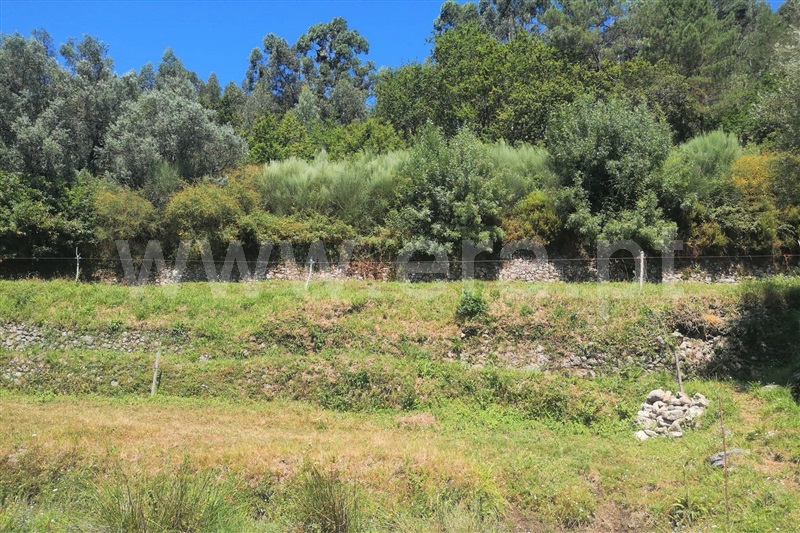 Terreno / Ponte de Lima, Rendufe