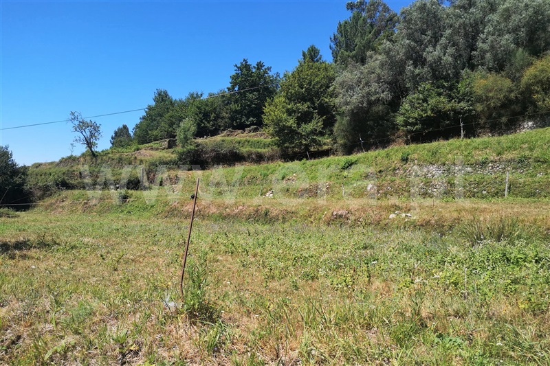 Terreno  Ponte de Lima, Rendufe - 1263740 - 2