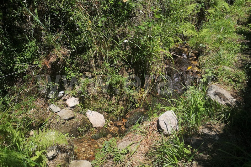 Terreno  Ponte de Lima, Rendufe - 1263740 - 7