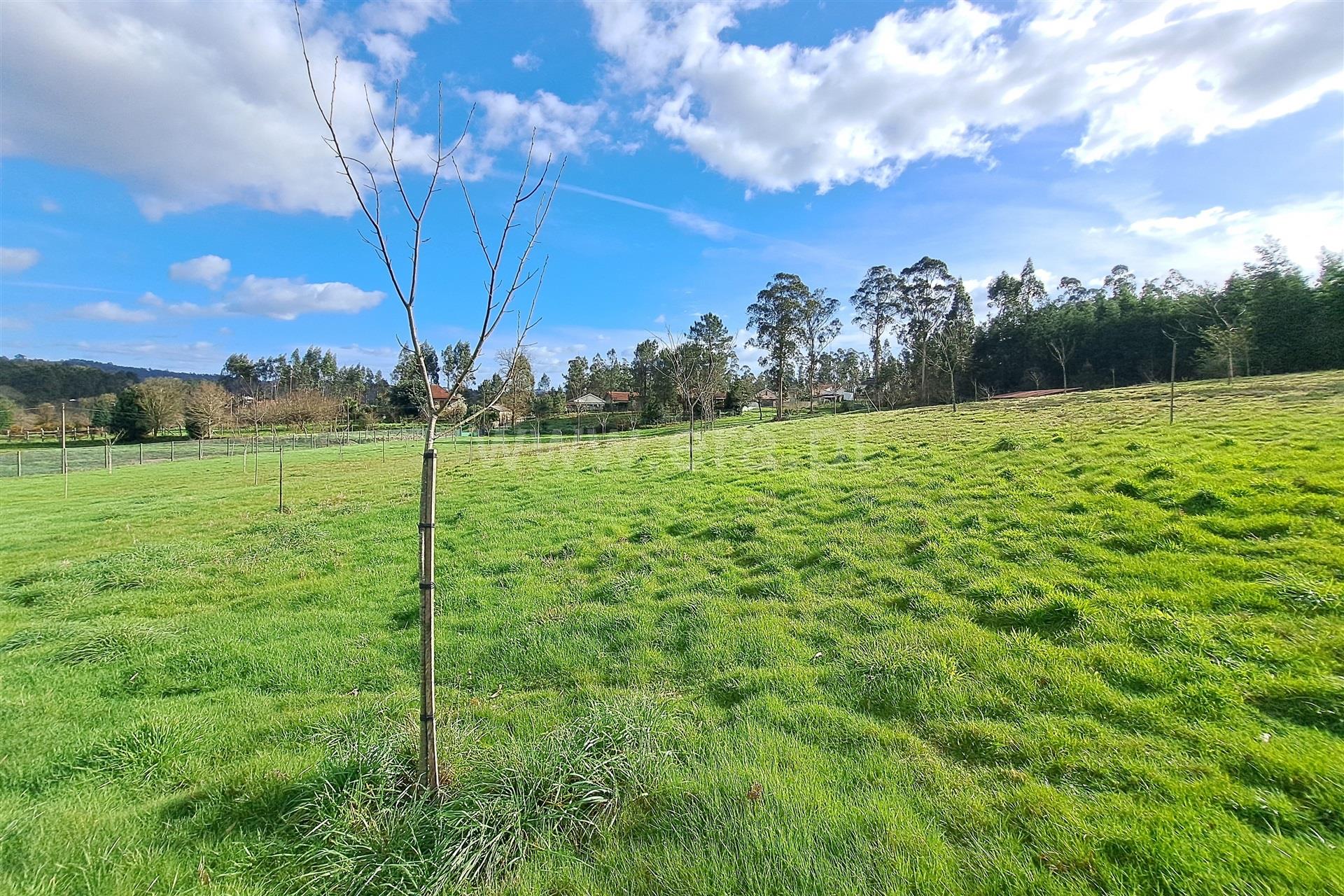 Land for sale in Ponte de Lima, Portugal — €160,000