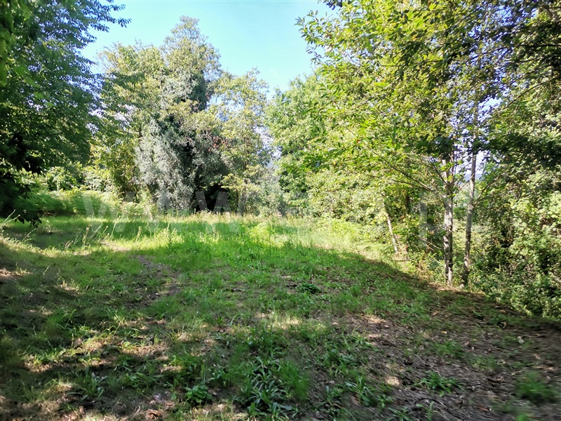 Terreno  Ponte de Lima, Santa Cruz - 1194873 - 4