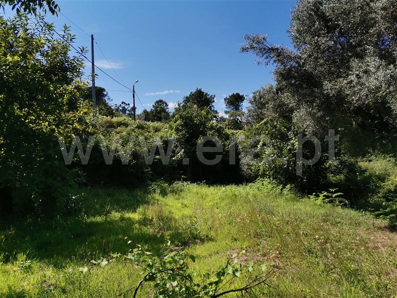 Terreno  Ponte de Lima, Santa Cruz - 1194873 - 9