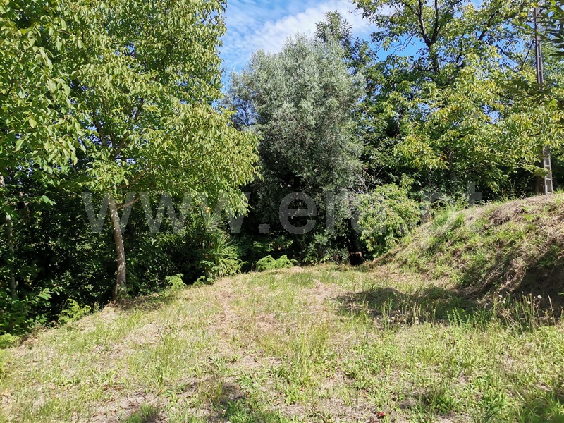 Terreno  Ponte de Lima, Santa Cruz - 1194873 - 5