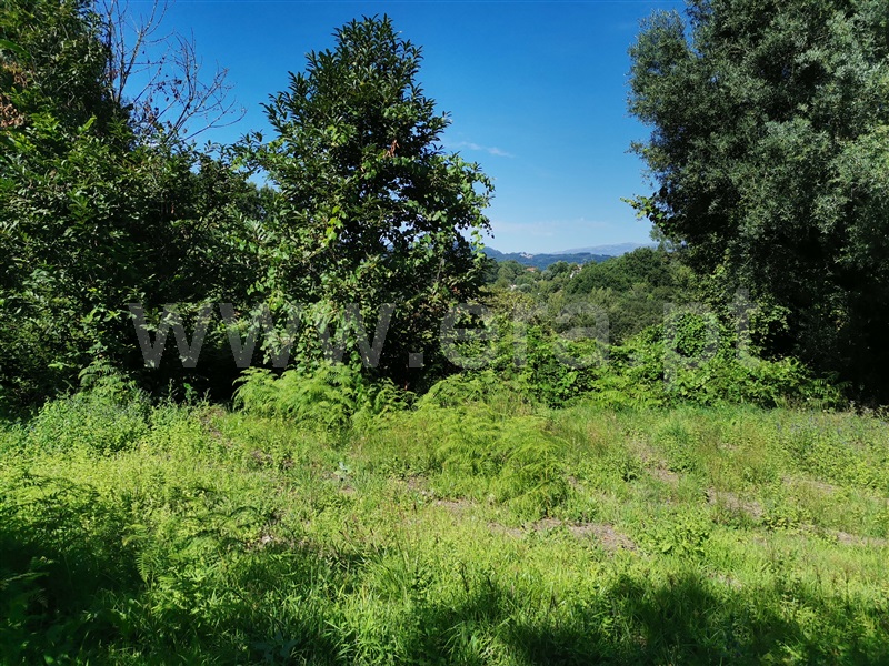 Terreno  Ponte de Lima, Santa Cruz - 1194873 - 7