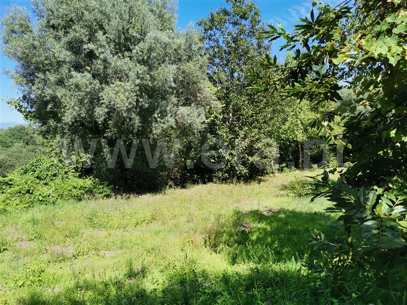 Terreno  Ponte de Lima, Santa Cruz - 1194873 - 8