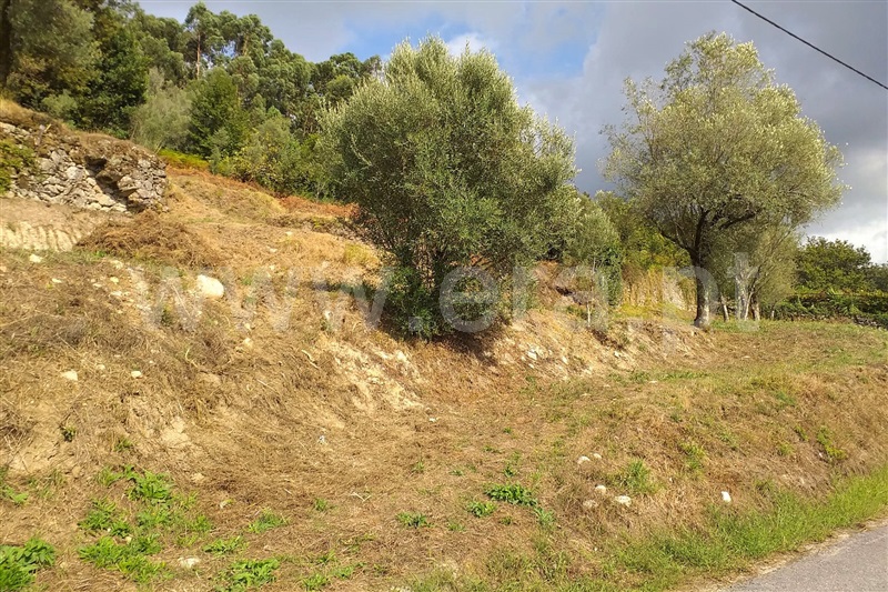 Terreno  Ponte de Lima, Serdedelo - 1180574 - 8