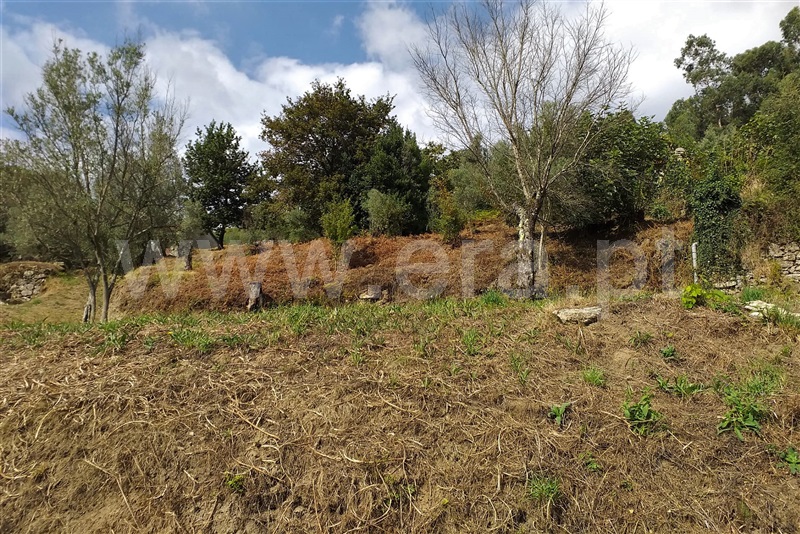 Terreno  Ponte de Lima, Serdedelo - 1180574 - 9