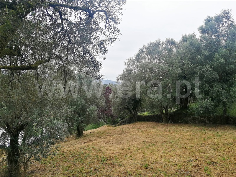 Terreno  Ponte de Lima, Serdedelo - 1180574 - 3