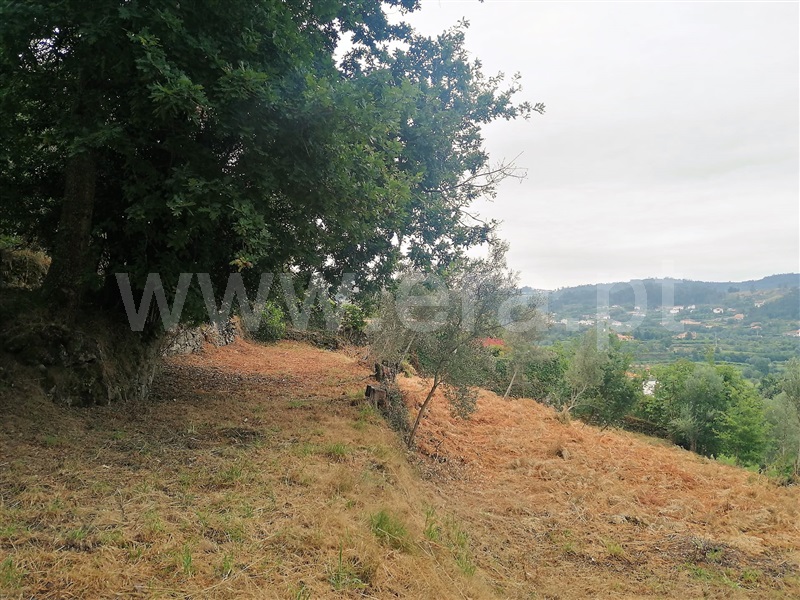 Terreno  Ponte de Lima, Serdedelo - 1180574 - 5