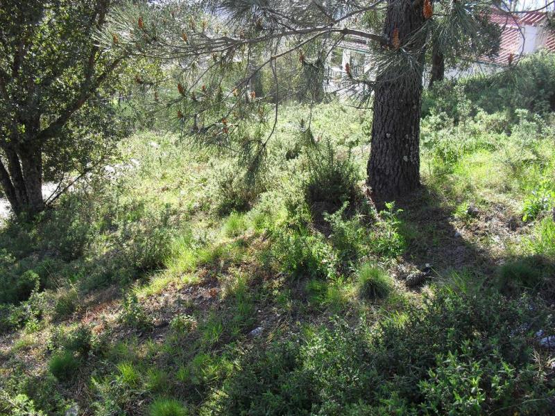 Terreno  Ponte de Lima, Serdedelo - 98929 - 3