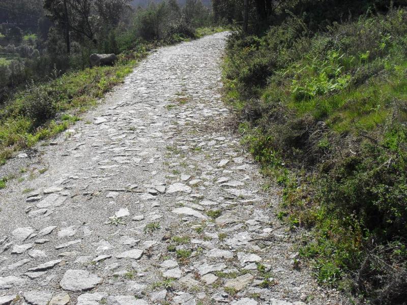 Terreno  Ponte de Lima, Serdedelo - 98929 - 4