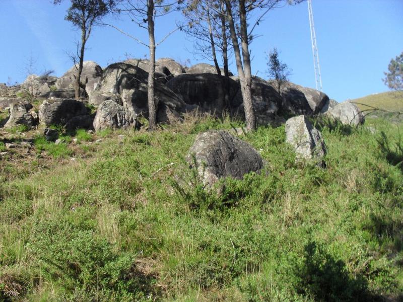 Terreno  Ponte de Lima, Serdedelo - 98929 - 7