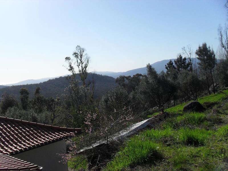 Terreno  Ponte de Lima, Serdedelo - 98929 - 8