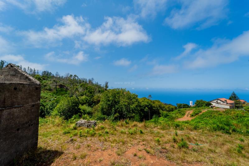 Terreno / Porto Moniz, Achadas da Cruz