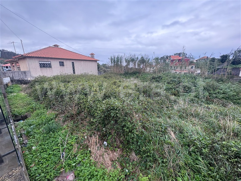 Terreno / Porto Moniz, Porto Moniz