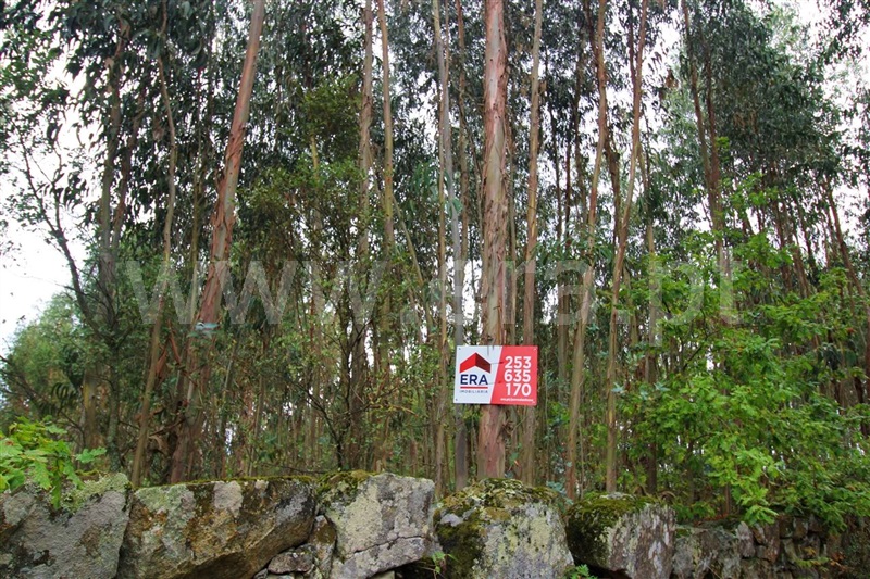 Terreno / Póvoa de Lanhoso, Águas Santas e Moure