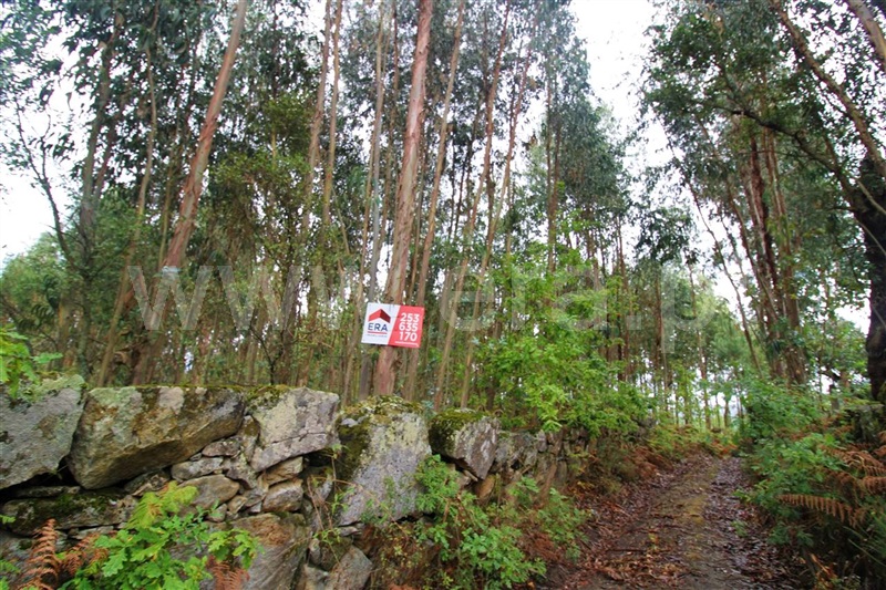 Terreno  Póvoa de Lanhoso, Águas Santas e Moure - 1274092 - 6