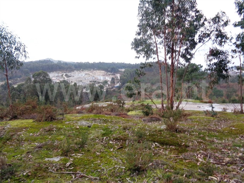 Terreno / Póvoa de Lanhoso, Calvos e Frades