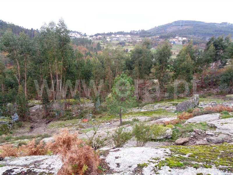 Terreno  Póvoa de Lanhoso, Calvos e Frades - 1059376 - 3