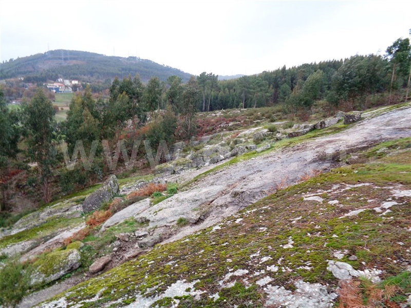 Terreno  Póvoa de Lanhoso, Calvos e Frades - 1059376 - 4