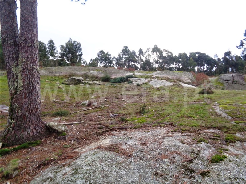 Terreno  Póvoa de Lanhoso, Calvos e Frades - 1059376 - 6