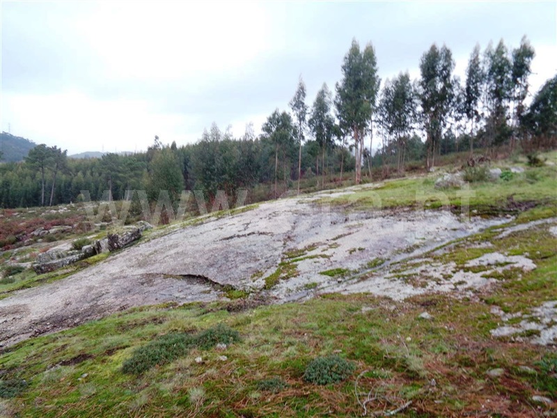Terreno  Póvoa de Lanhoso, Calvos e Frades - 1059376 - 7