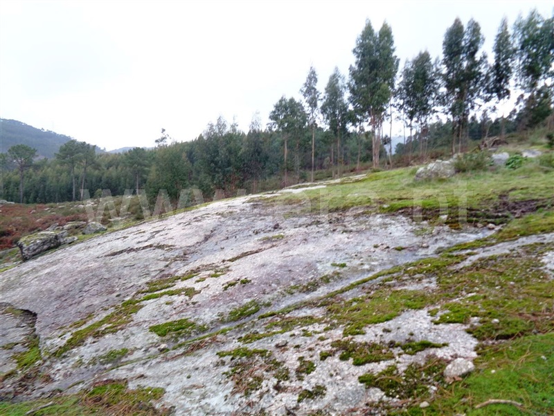 Terreno  Póvoa de Lanhoso, Calvos e Frades - 1059376 - 8