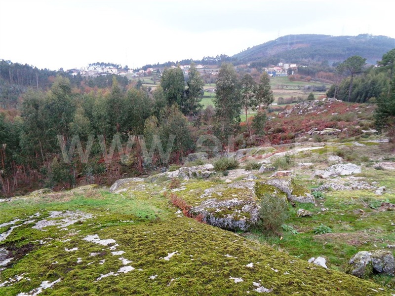 Terreno  Póvoa de Lanhoso, Calvos e Frades - 1059376 - 10
