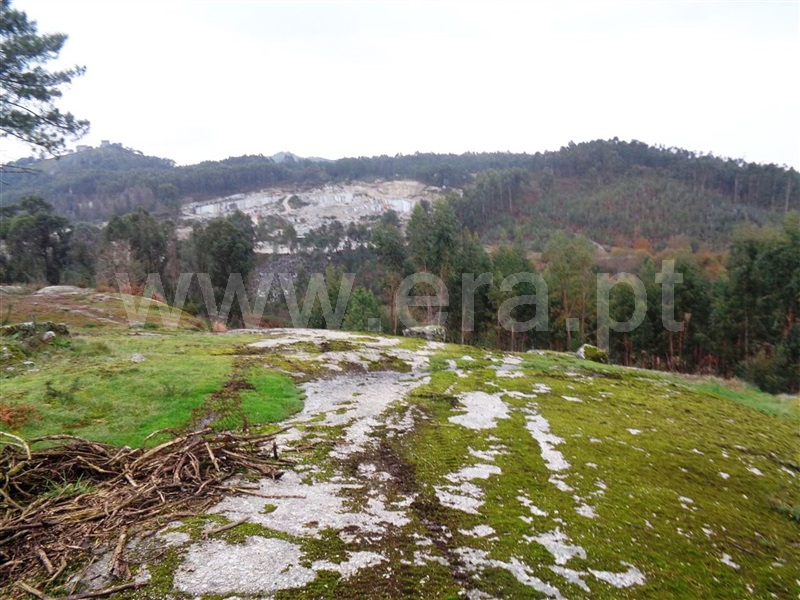 Terreno  Póvoa de Lanhoso, Calvos e Frades - 1059376 - 12