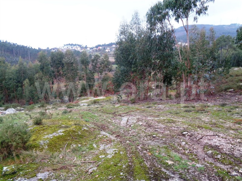 Terreno  Póvoa de Lanhoso, Calvos e Frades - 1059376 - 13