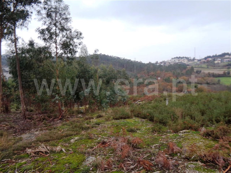 Terreno  Póvoa de Lanhoso, Calvos e Frades - 1059376 - 14