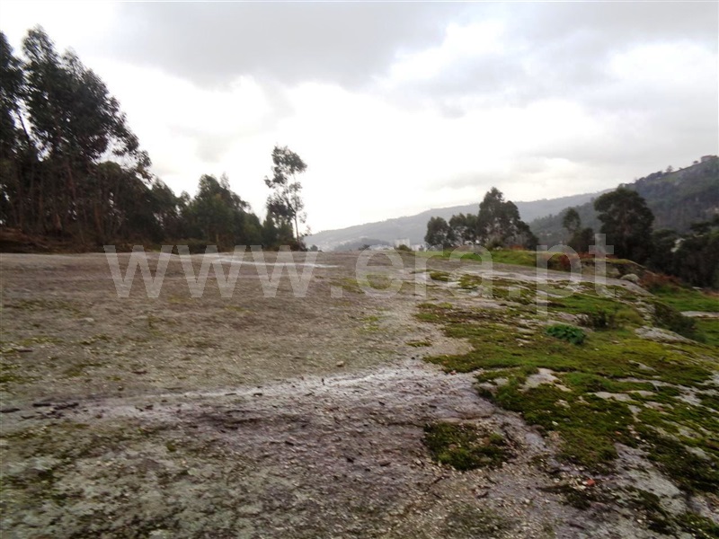 Terreno  Póvoa de Lanhoso, Calvos e Frades - 1059376 - 15
