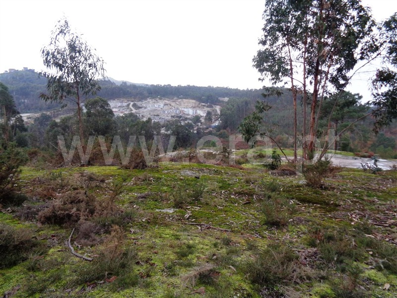Terreno  Póvoa de Lanhoso, Calvos e Frades - 1059376 - 17