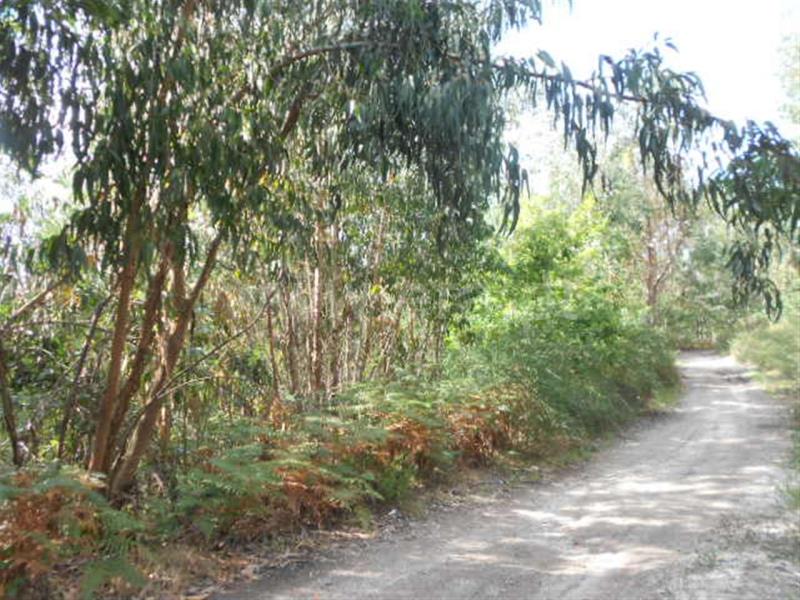 Terreno  Póvoa de Lanhoso, Calvos e Frades - 594157 - 2