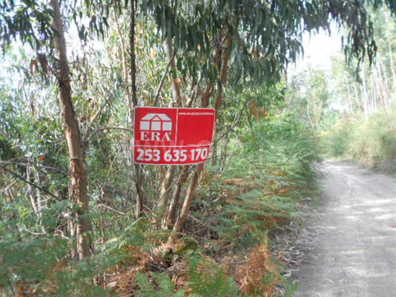Terreno  Póvoa de Lanhoso, Calvos e Frades - 594157 - 4