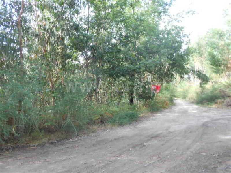 Terreno  Póvoa de Lanhoso, Calvos e Frades - 594157 - 5