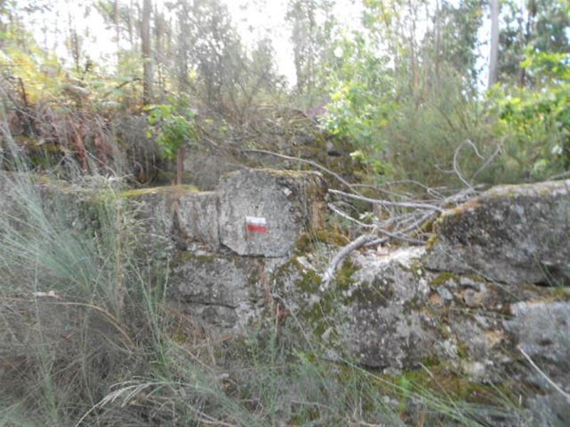 Terreno  Póvoa de Lanhoso, Calvos e Frades - 594157 - 6