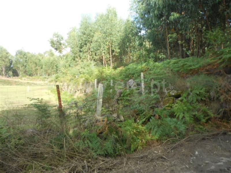 Terreno  Póvoa de Lanhoso, Calvos e Frades - 594157 - 9