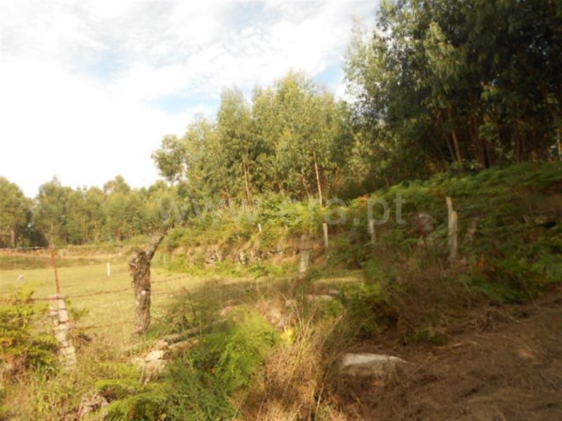 Terreno  Póvoa de Lanhoso, Calvos e Frades - 594157 - 10