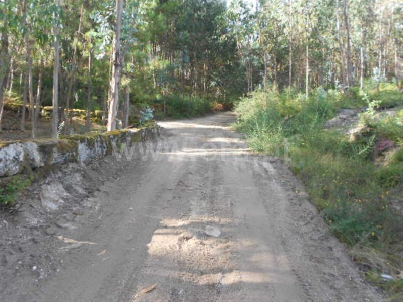 Terreno  Póvoa de Lanhoso, Calvos e Frades - 594157 - 11