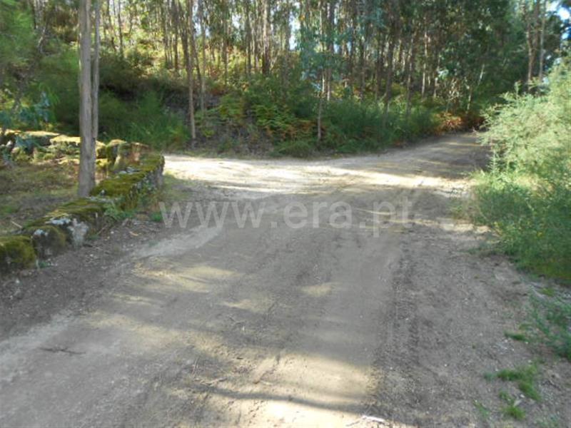 Terreno  Póvoa de Lanhoso, Calvos e Frades - 594157 - 12