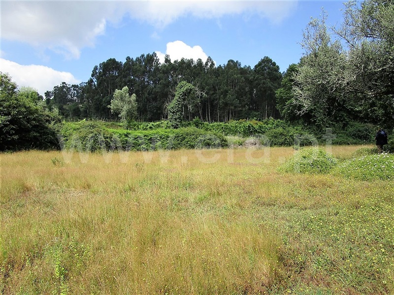 Terreno  Póvoa de Lanhoso, Calvos e Frades - 955036 - 2